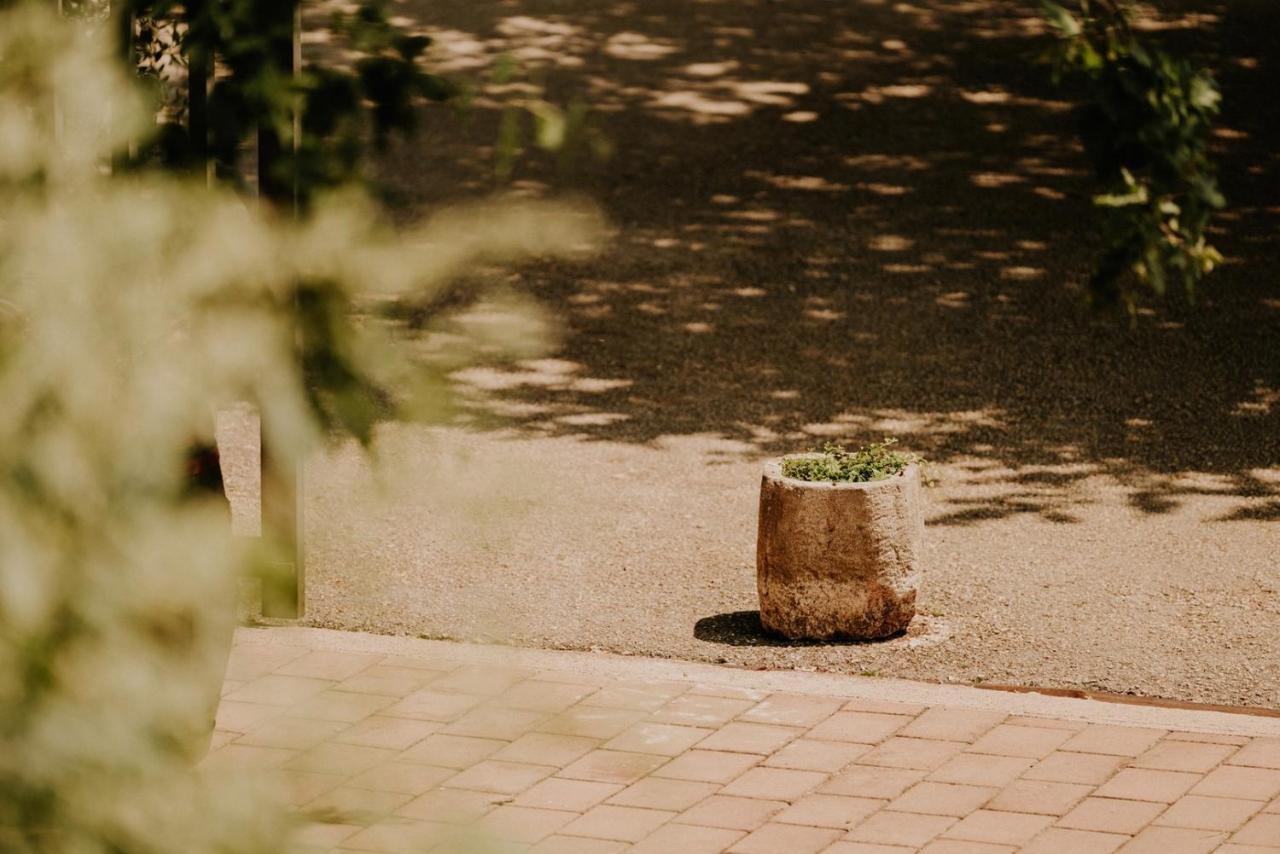 Bed And Breakfast Kolo Adults Only Bužinija エクステリア 写真
